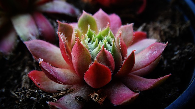 Jakie są grubości folii? Jakie są grubości folii?