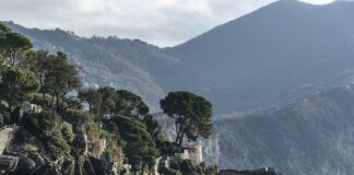 Ile kosztuje słoik?