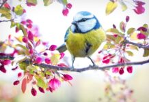 Jaki kolor podkładu pod żółty kolor? Jaki kolor podkładu pod żółty kolor?
