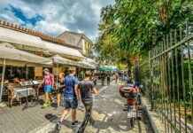 Czy Plak szkodzi na lakier? Czy Plak szkodzi na lakier?