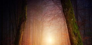 Jak poprawić oświetlenie w pokoju?