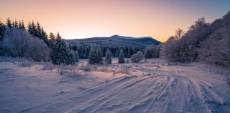 Jak sprawdzić czy opony są zużyte?