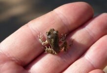 Co oznacza litera C na oponach?