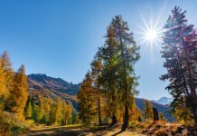 Jak się robi masę solną? Jak się robi masę solną?