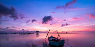 Jaki kolor ścian do lameli?